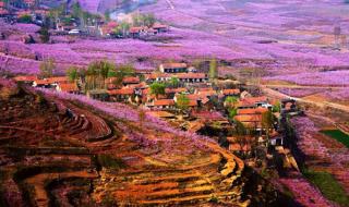 传奇韩服时装作用 传奇之稀有装扮礼盒