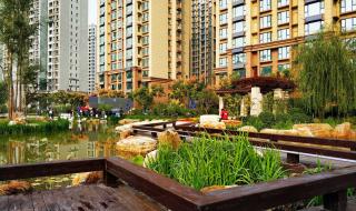 360借条有风险吗 360保险经纪牌照