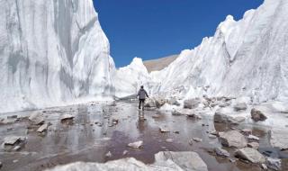 冒险王,姥姥是谁 冒险王老王最新消息