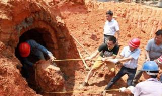 宰相刘罗锅荔浦芋头 宰相刘罗锅荔浦芋头