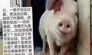 师父和师傅有什么区别吗 师傅大师兄说的对啊