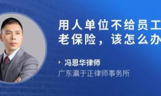 一次性买15年社保多少钱 养老保险交多少钱