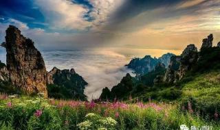 月季丁香玫瑰还有什么花 五月花六月丁香花