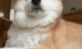 怎样快速哄女孩子开心 怎样哄女孩子开心