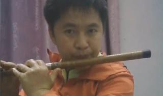 李玲玉为什么偏偏喜欢你 为什么偏偏喜欢你