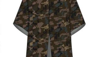 用photoshop做的图片怎样转换成cdr格式 cdr怎么变成psd格式