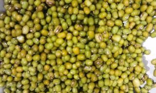 现在是几伏天 现在是几伏天