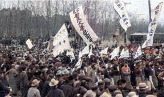 大连711公交路线 大连716死了多少人