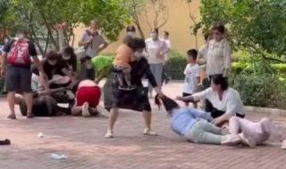 北京动物园打架事件