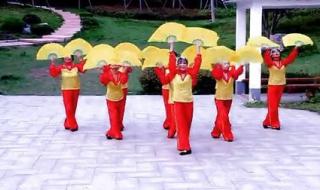 在希望的田野上舞蹈 在希望的田野上舞蹈