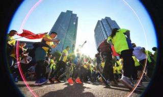 主要国际赛事有哪些 田径包括哪些比赛