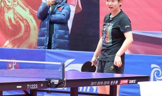 孙颖莎王楚钦是情侣吗